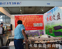 ������ݘI(y��)���(zh��n)2015�����r(n��ng)����