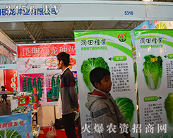 �����T���N�I(y��)���޹�˾����2015�����r(n��ng)����-2015��12�������r(n��ng)�Y���[��