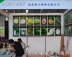 ɽ�|���S�N�I(y��)����2015���������r(n��ng)������