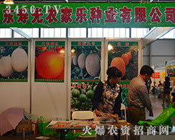 �۹��r(n��ng)�Ҙ��N�I(y��)�M�M�Ķ����ի@��