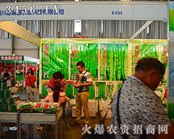 �Ĵ����M�@�r(n��ng)�I(y��)�Ƽ��|(zh��)���Q��һ����