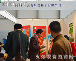 ���ϳ���N�ӝM�d���w��