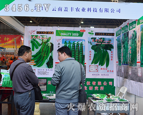 �����w�S�r(n��ng)�I(y��)�Ƽ��˚⮐�����