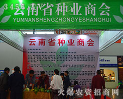 ����ʡ�N�I(y��)�f(xi��)��(hu��)�ٴ��A������