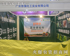 2016�V���ό��r(n��ng)�Y��(hu��)�V��̩��(qi��ng)������(sh��)�I(y��)���������ˣ�