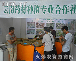 2016�Ϸ��r(n��ng)�Y��(hu��)����ˎ�ķNֲ������ȫ���Ը����A�ÝM�úȲʣ�