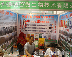 �ĳǰ�΢������Ҽ���2016��ɽ�|ֲ������