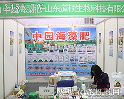 ɽ�|���D����y��2016��(j��)��ֲ���p����(hu��)����(chu��ng)�����Ԓ��