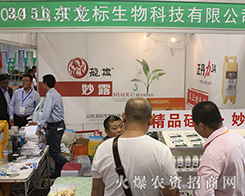 2016����ֲ����ɽ�|��������һƥ�������u�ĺ��R��