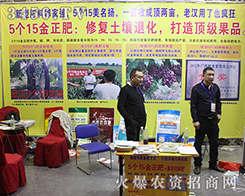 ���ݽ���������2016ɽ�|ֲ���p����(hu��)