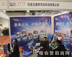 ʯ���f�°��r(n��ng)�I(y��)2016��ɽ�|ֲ����(hu��)���������