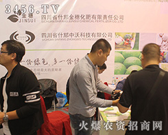 �Ĵ����뻯��2016ɽ�|ֲ�����