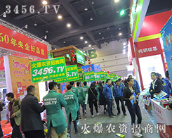 �������e�O���ϵĻ��r(n��ng)�Y���̾W(w��ng)��(zh��n)ʿ��