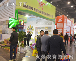 �ú�Sϲ�ʘI(y��)��2016���ݷ��ϕ�������ʮ��