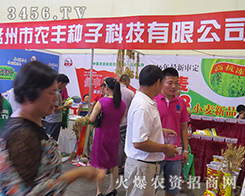 �������r(n��ng)�S�N�ӿƼ������ǰ�M�����~��ɹ��ı˰�