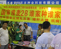 2016�����ļ��N�ӕ������f���N�I(y��)���㎧��һ���r(n��ng)�Yʢ�磡