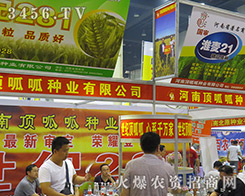 ��������ɷN�I(y��)���޹�˾����2016�����ļ��N�ӕ�-2016����ʡ�ļ��N����Ϣ�����߮a(ch��n)Ʒչ�[��