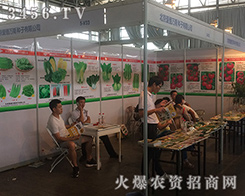 �����۵��f˹2016�����r(n��ng)�Y���õ��߶��J(r��n)����