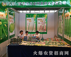 ����ʥ�၆�c����������˲�g