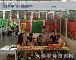 �ɶ���(y��u)���r(n��ng)�I(y��)ͦ�M(j��n)2016�����r(n��ng)�Y���[��(hu��)