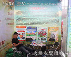 ���_˹������������2016�������r(n��ng)�Y��