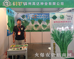 ���ݸ��_�N�I(y��)2016�����r�����F(xi��n)������ʮ��