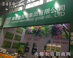 ���_���F�Wҫ2016�����r�Y���[��