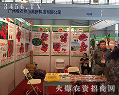 �V�|���r2016�����r�Y���[�������̂��ܲ�Ŀ��