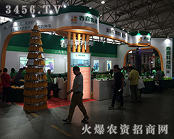 ������ϲ�r�I(y��)2016��ʮ���������r�Y����������l(f��)չ�̙C