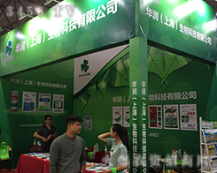 �Ϻ��A����2016�������r(n��ng)�Y�����ل�(chu��ng)�ѿ�