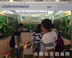 ˴���߲˷N���о���2016���������r(n��ng)�Y�����ڱص�