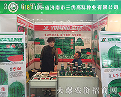 ɽ�|ʡ��(j��)������(y��u)�߿���2016�����r(n��ng)�Y��(hu��)��Ů���