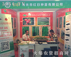 �۹�t�շN��������2016�����r(n��ng)�Y����