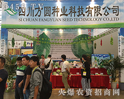 2016�����r�Y�����Ĵ����A�N�I(y��)�Ƽ��Ԫ��صĹ���ģʽ�ͷ������c����ȫ��