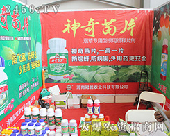 ���Ϲ����r�I(y��)�c����s2016�����r�Y���[���������r�Yʢ����