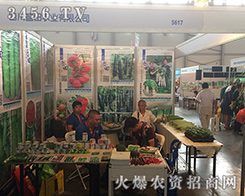 �Ĵ�ʢ���r�I(y��)���޹�˾��2016�����r�Y���ث@�H�S