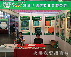 �½��Ƶ���2016��ʮ���������r(n��ng)�Y���F(xi��n)������