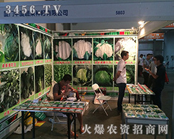 2016�����r(n��ng)�Y��(hu��)�ϏB�T�ЏB�߲˷N�����޹�˾�Ԫ�(d��)�صĹ���ģʽ�ͷ���(w��)���c(di��n)����ȫ��