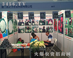 �B�T��֮���r�I(y��)�Ƽ�����2016�����r����