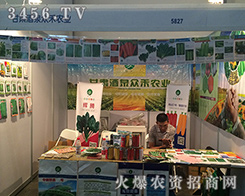 ���C��Ȫ�����r�I(y��)2016�����r������Ó�f����