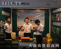 �V�|̩������2016�����r�������u�糱