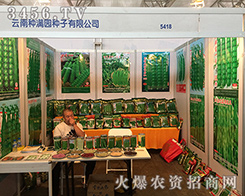 ���ϷN�M�@�N�Ӕy��2016�����r(n��ng)�Y���[�������ի@��