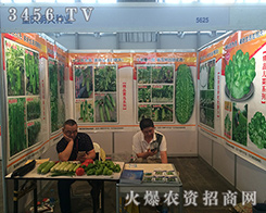 �ؑc����N�I(y��)2016���������r(n��ng)�Y��(hu��)���ڱص�