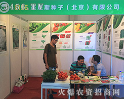 ʥ��˹�N����2016�����r(n��ng)����(hu��)������