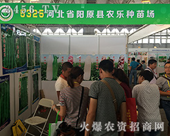 �(y��ng)ԭ�h�r(n��ng)���N����2016�������r(n��ng)�Y��(hu��)���u(p��ng)����