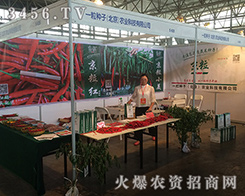 2016�����r(n��ng)������һ���N���r(n��ng)�I(y��)¡������