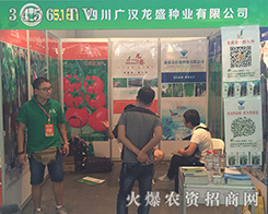 �Ĵ��V�h��ʢ�N�I(y��)2016��ʮ���������r(n��ng)�Y���𺳁��u