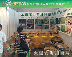 2016�����r�Y����������Nֲ�r�������M�@���̰�����Ϣ��