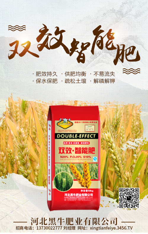 �pЧ���ܷ�