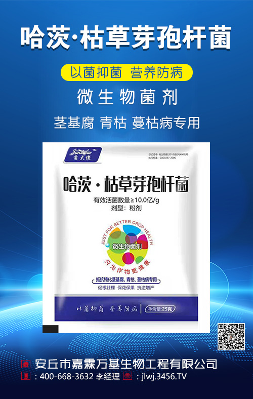 ���ġ��ݲ�ѿ�ߗU��